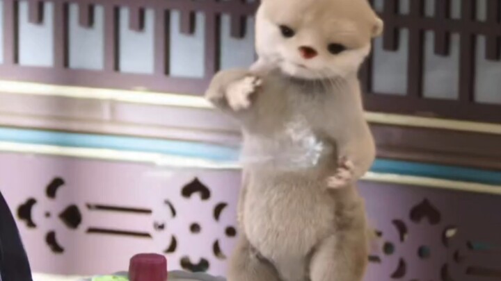 นากเหลียวถิงเหยียนน่ารักมากจนอยากจับสักครั้ง ซือหม่าเจียวก็ซาบซึ้งใจไม่น้อย