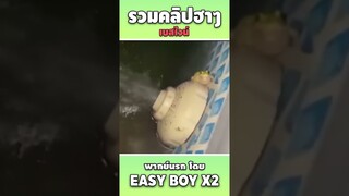 รวมคลิปฮา พากย์นรก #short #easyboy #คลิปฮา #เบสไวน์