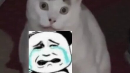 Giữa đêm khuya thế này hơi đáng sợ nhỉ?