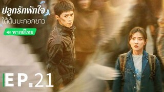 ตอนที่ 21
