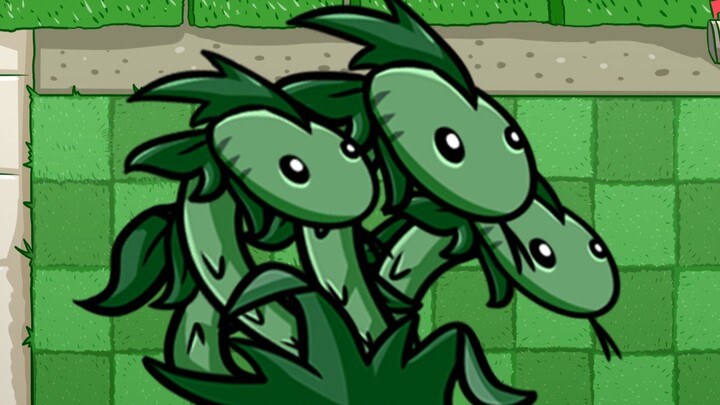 When Snake Grass Gains Three Heads~