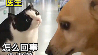 سأذهب لزيارة الطبيب النفسي بعد انتهاء عطلة العام الصيني الجديد