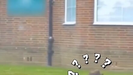 ที่แท้ผู้ปกครองทั่วโลกต่างก็เฝ้ารอให้ลูกกลับไปเรียนกันทั้งนั้นเลย