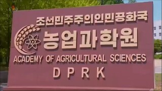 Questão que se apresenta no cultivo de trigo e cevada