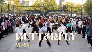 【宇宙少女】Butterfly 随唱谁跳广州第九次KPOP随机舞蹈