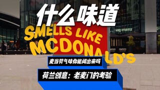 The McMansion Test: Can you smell McDonald's?
