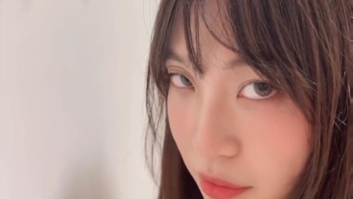 ทำไมที่บ้านถึงมีลิงได้ล่ะ?