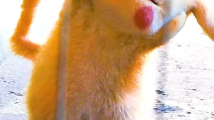 Pikachu X Kimi No Toriko