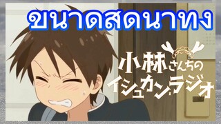 ขนาดสุดน่าทึ่ง