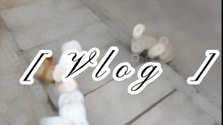 和小光一起去必胜客的vlog