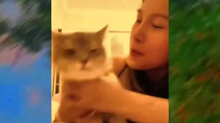 Reality  # All users