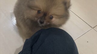 โทนี่ ตอนเด็กๆ