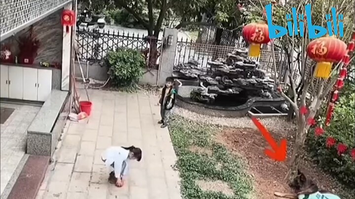 Đổi chó luôn được không nhỉ 🥲