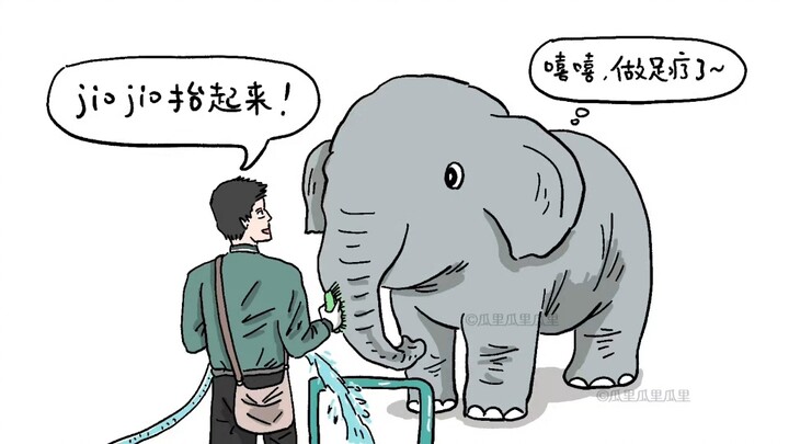 Elephants: “Humans are beneficial insects”