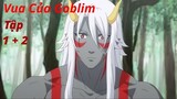 'Chuyển Sinh Thành Vua Của Goblin ( Anime mới 2024) review anime