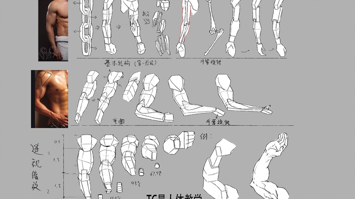Metode latihan tubuh Kim Jeong-gi — Cara menggambar lengan