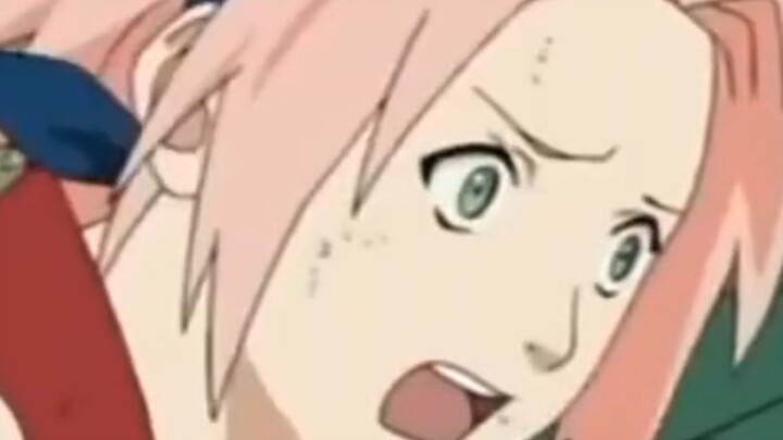 sakura