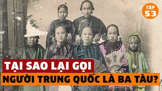 Nguyên Nhân Không Thể Ngờ Khiến Người Việt Gọi Trung Quốc Là "TÀU" | Đàm Đạo Lịch Sử | #53