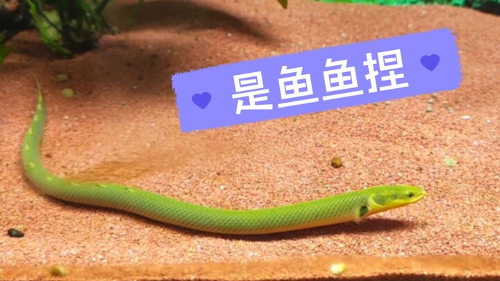 น่ารักสุดๆ เลย!