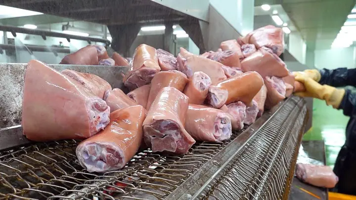 슈바인학센 Mass production! Crispy Fried Pork Legs (Schweinshaxe) Making Process - Korean food factory