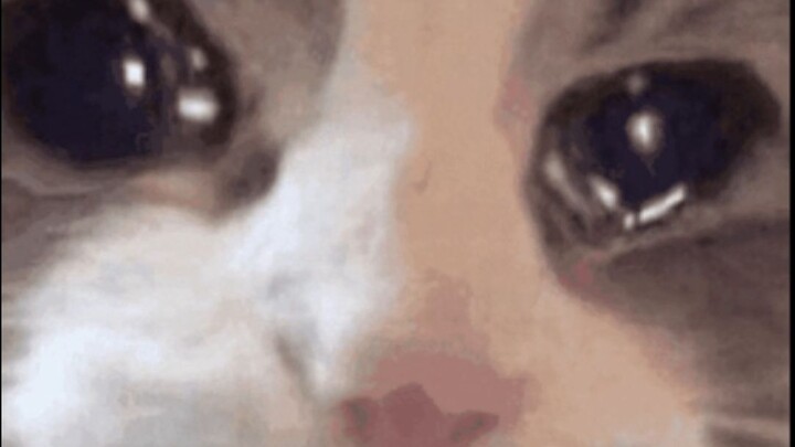 ถ้าสุดท้ายมันได้รับการยืนยันจริงๆ ล่ะก็ มันน่าตกใจสุดๆ เลย