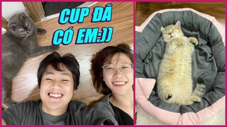 VLOG ĐẶC BIỆT: NHÀ CÓ THÀNH VIÊN MỚI - CUP ĐÃ CÓ EM:))