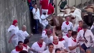 يعد مهرجان سباق الثيران الإسباني مهرجانًا تقليديًا سنويًا حيث يمكن للبالغين والأطفال الاستمتاع به، و