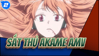 Sát Thủ Akame AMV_2