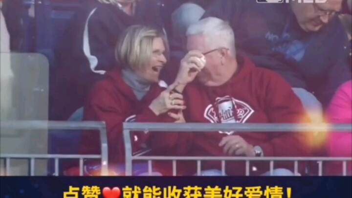 นี่แหละคือสัญชาตญาณแท้จริง – การปกป้องเธอคือสัญชาตญาณตลอดชีวิตของฉัน