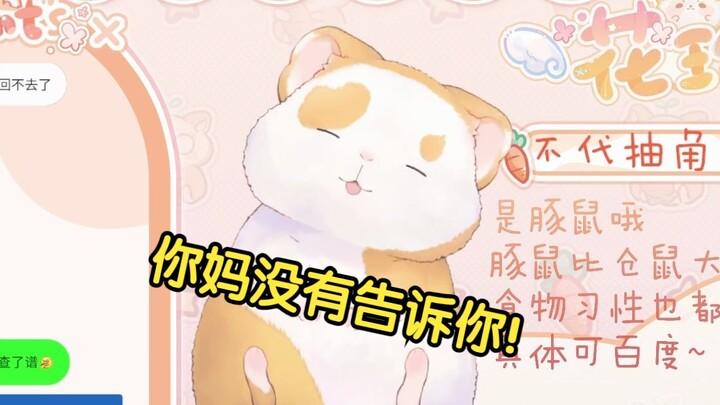 花玲难绷爱人错过的歌词：你妈没有告诉你！【花玲片2】