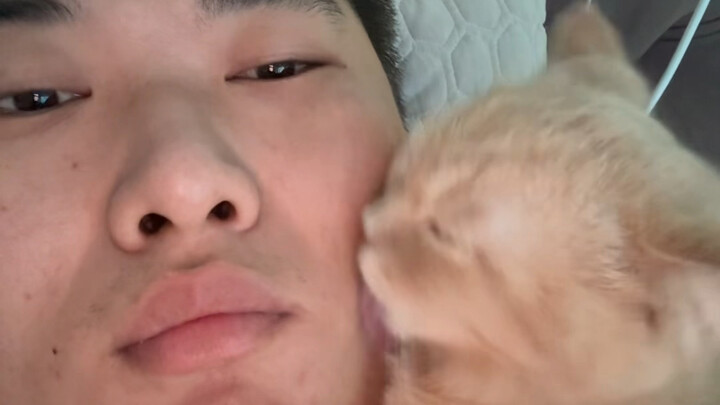 Theo dõi tôi trên Instagram? Hay theo dõi con mèo này trên Instagram?