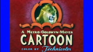 Tom and jerry cartoon