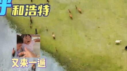 The craziest video in the pun-filled tourism promotional series has emerged.