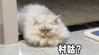 เมื่อคืนเพิ่งอาบน้ำเสร็จ วันนี้ตื่นขึ้นมาเป็นแบบนี้เลยเหรอ? เกิดอะไรขึ้นกันแน่