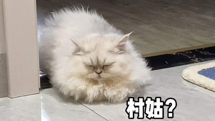 I just took a shower last night, and this is what happened when I woke up today? What on earth went 