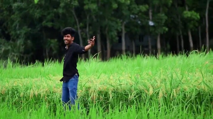 কোন কাননের ফুল গো তুমি