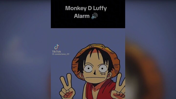 monkey d monkey