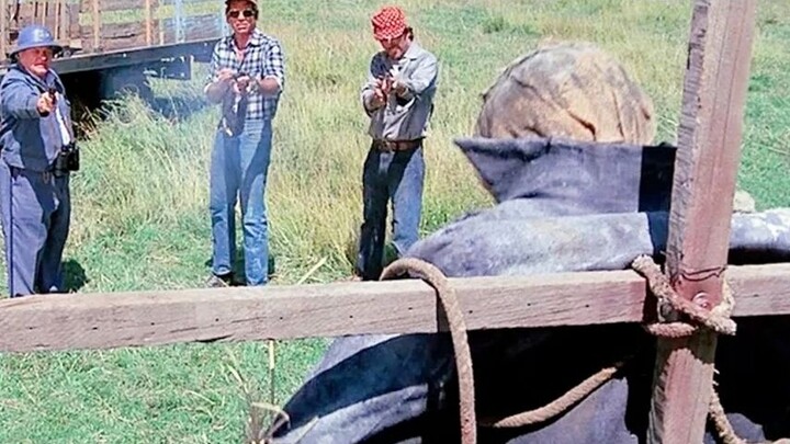 The kindhearted fool was shot to death, and then a mysterious scarecrow appeared in the village. "Th