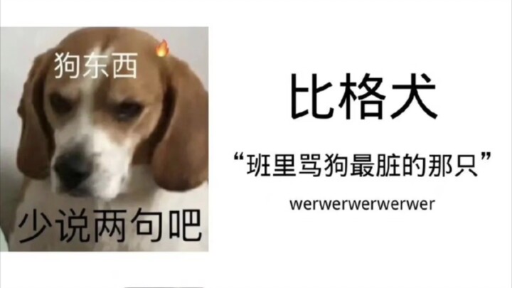 لو كانت الكلاب تذهب إلى المدرسة.. البِيغ: يا صغير، ما تمشي بعد المدرسة!