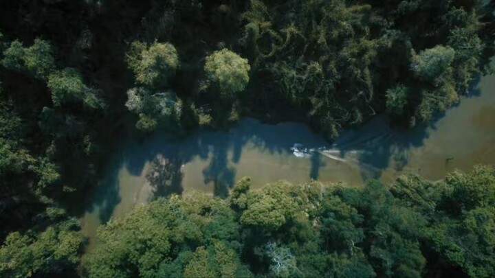 Anaconda Full Movie in Hindi Dubbed #HollywoodMove #Hindidubedmovies #Movies