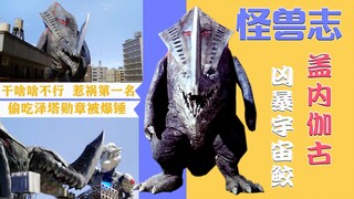【怪兽志】盖内伽古-凶暴宇宙鲛管不住嘴 乱吃东西引火上身