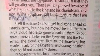 Daily Verse.                  Exodus 14:21-25