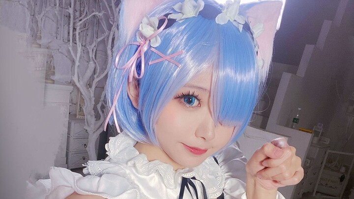Meow~ Do you really want to reject the cat-eared Rem (｡ ́︿ ̀｡)?