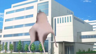 【ميم القط】النجاح في الامتحان للحصول على القبول في مدرسة ثانوية مميزة لكنه ترك صدمة مدى الحياة