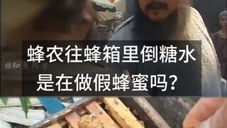 蜂农往蜂箱里倒糖水，是在做假蜂蜜吗？