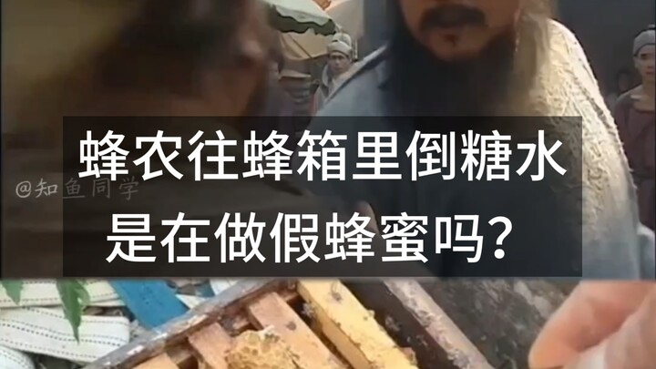 Are beekeepers making fake honey by pouring sugar water into beehives?