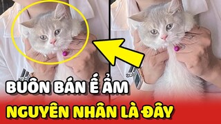 Buôn bán không thấy khách, cô gái check Camera thì thấy cảnh này đây 😂 | Yêu Lu