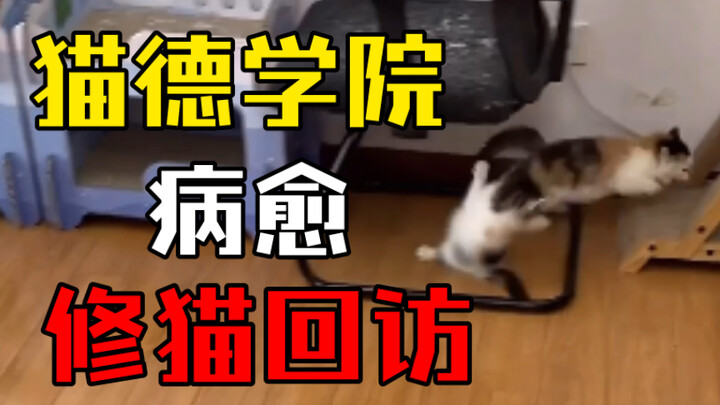 Mao De Finds a New Job—Rehabilitation Trainees Show Off Their Skills!