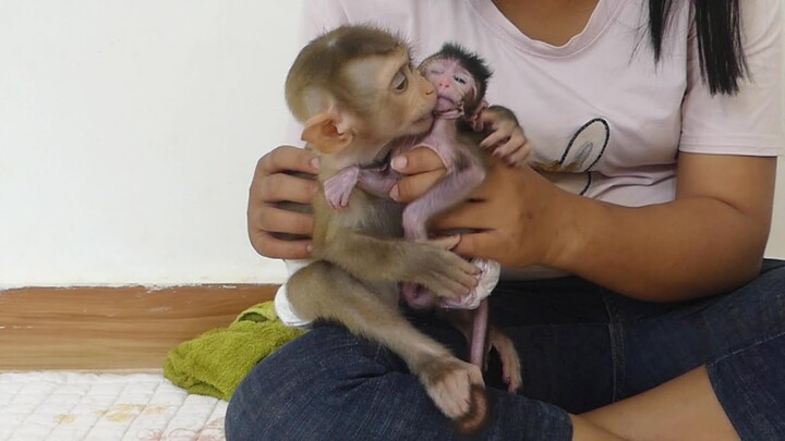 So Sweet Kissing Of Brother Maku To Baby Sister Jessie | Baby Jessie So Cute