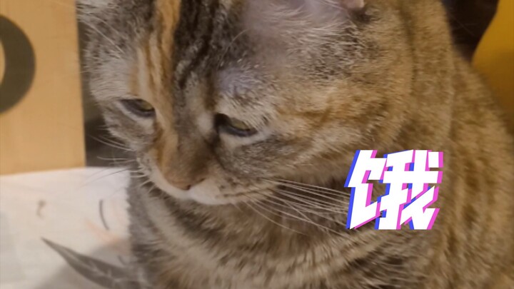 แม่ครับ ผมมาขอข้าวแล้ว